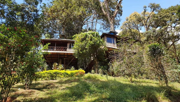 Esplorando i dintorni di Munnar