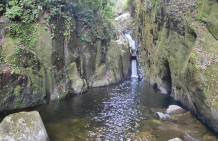 Sossego da Mamãe - Foto 53