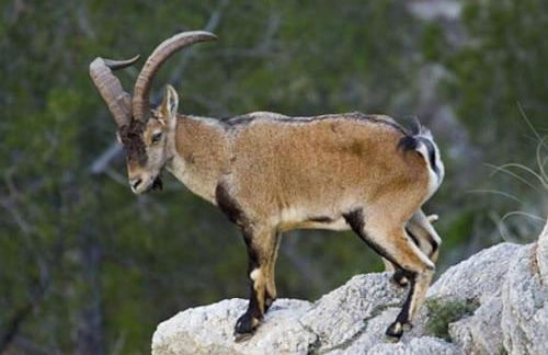 La Casa del Pan de Archivel - Foto 56