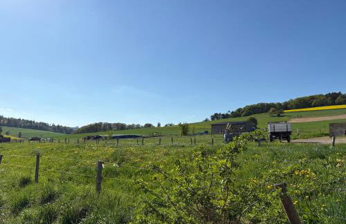 Ferienresort Weidelbach - Foto 34