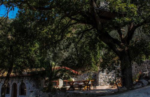 Fattoria Armonia - Foto 39