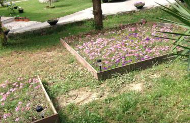 Smile's Studios - Photo 74