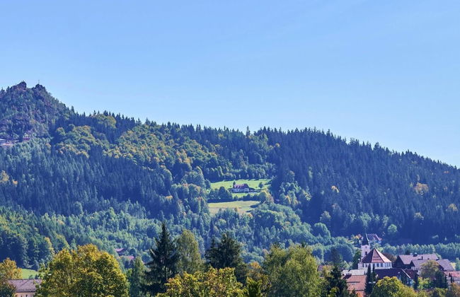 Ferienwohnung in Bodenmais am Grossen Arber - Foto 17