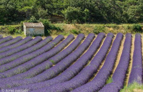 Studio - Fontaine - Foto 11