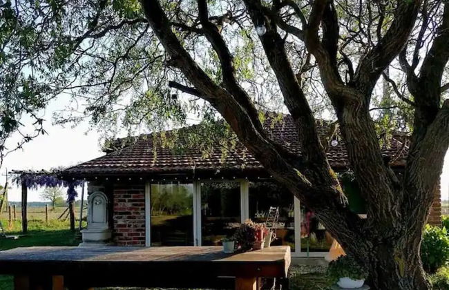 Holiday Home Drava Life - Foto 12