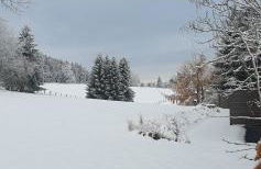 Landhaus Schnorrenberg, Wellness & Nature - Foto 60