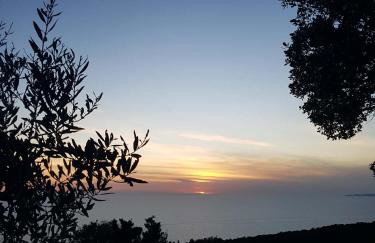 App Bonić - Foto 31