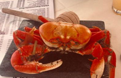 Casas Aracaju Temporada - Foto 4