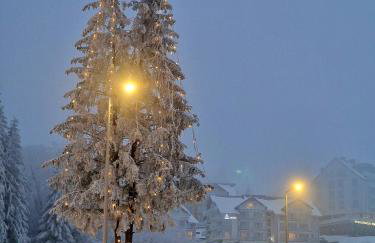 Czarna Góra Apartament 319 - Foto 33