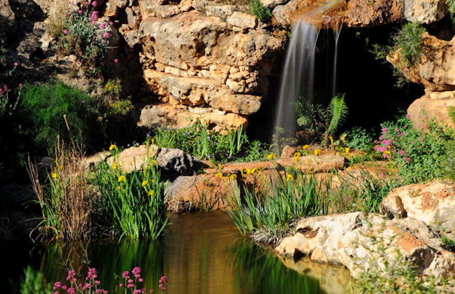 Billet pour le Jardin de L’Albarda - Photo 5