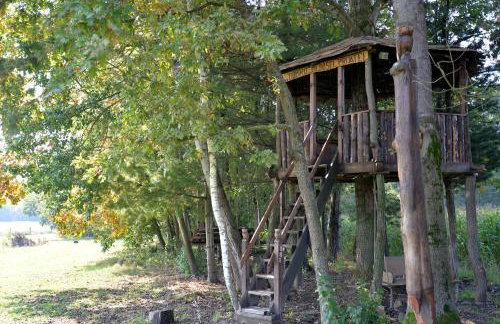 Old Oak House with pool - Foto 8