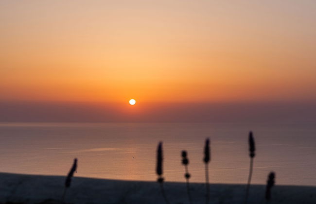 Villa Vinea - Foto 27