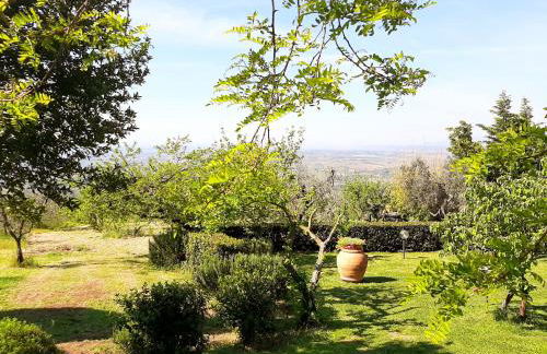 Il Palagio - Foto 43