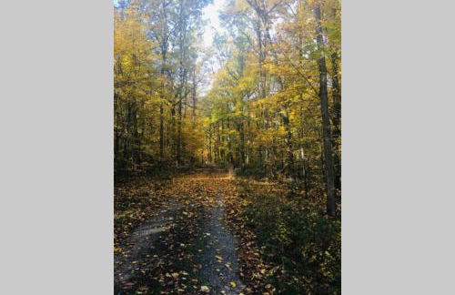 Irenes Tinyhouse - Foto 30