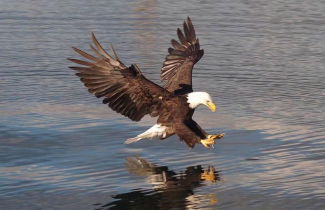 Salty Towers Oceanfront Cottages - Foto 25