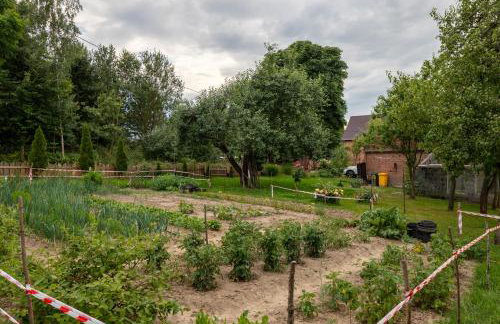 Róże i Jabłonie Agroturystyka - Foto 59