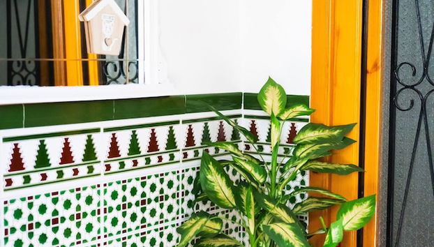 Casa Arcadia Centro de Andalucía - Foto 4, Recepción