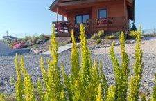 Górska Oaza - kotlina Kłodzka - Foto 22