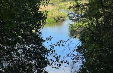 Manor Farm House - Foto 15