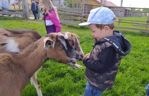 Pensjonat Przy Stajni - Foto 6