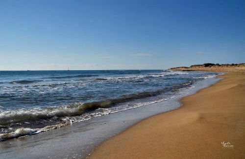 Villa Flamingo - 4 bedrooms - Private Pool - Next to renowned Issos Beach & Lake Korission - Photo 29