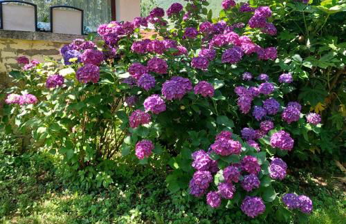 Puente Canto de Gredos - Photo 67