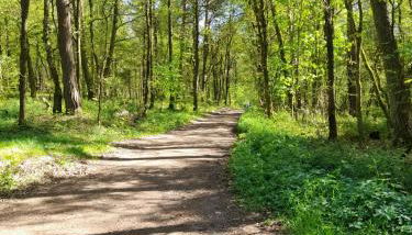 Ferienwohnung Inauen s Kiek in - Photo 5