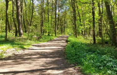 Ferienwohnung Inauen s Kiek in - Photo 5