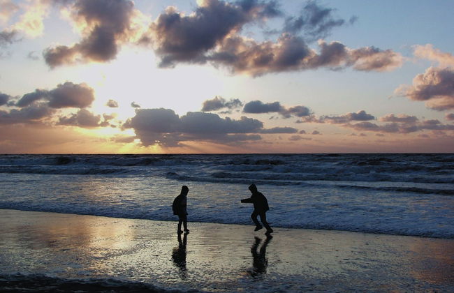 Luxury Chalet With two Bathrooms, Near the sSa on Texel - Foto 31