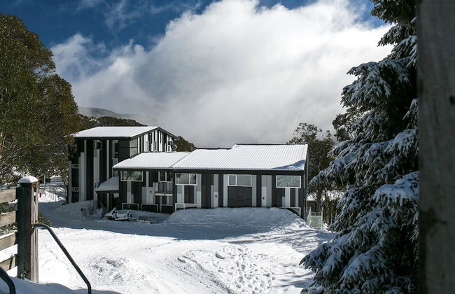 Elk at Falls - Photo 68