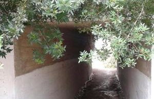 House Garli Premium Hospitality - Photo 71