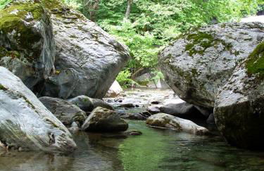 Moses Villa - Foto 46