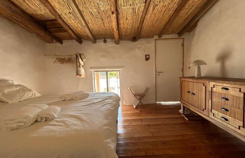 Casa Santa Catarina - Foto 6