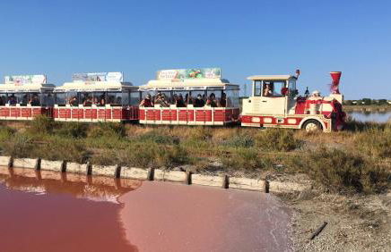 Cà Miciàt - Foto 32