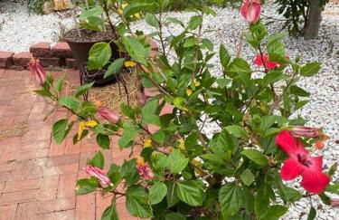 Heated pool-Hot tub-Dog friendly-family vacation rental! - Foto 57