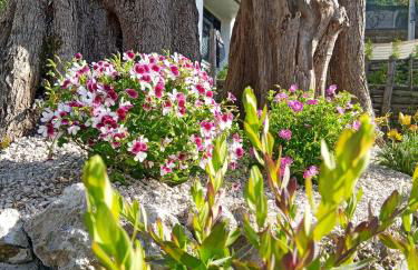 Tenuta Coppola - Foto 14