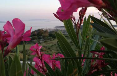 Apartments Tinjarosa - Foto 51