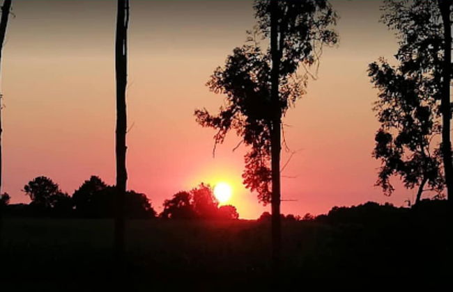 Enjoyin Luxury Chalet With Swimming Pool - Photo 28
