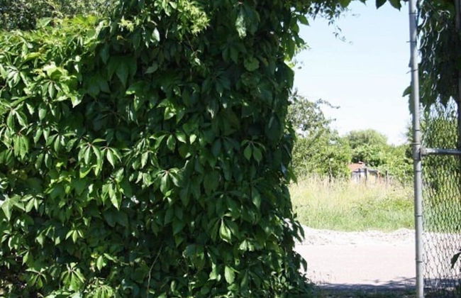 Schnuckliges Appartement am Seeufer - Foto 13