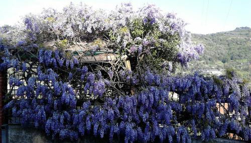 Casa IL GLICINE - Photo 2