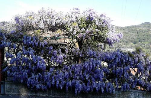 Casa IL GLICINE - Photo 2