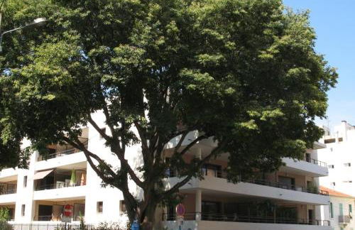 Spacious Luxury apt, 12 min walk to Croisette beach and Conf Centre - Foto 13