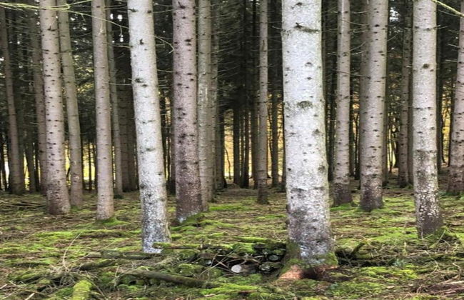 Enticing Holiday Home in Viroinval near Forest - Foto 35