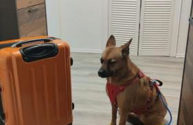 Ferienwohnung FeWo Plaggenburg - Das Familienreich - Photo 27