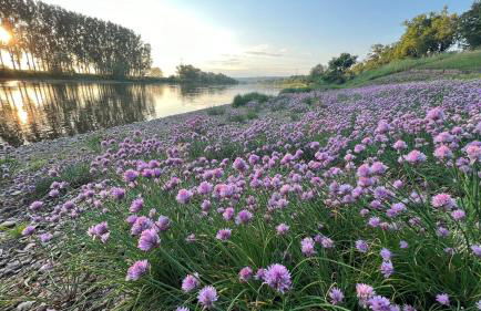 Ferienwohnung Am Kiessee Birkwitz - Foto 21
