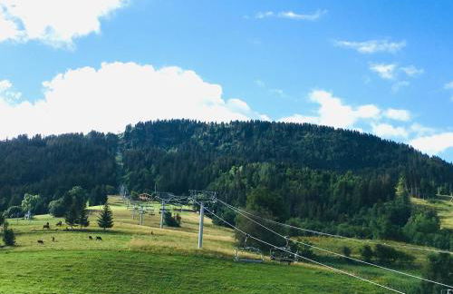 Le Nantoran - Foto 46