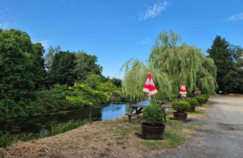 Zoila's Rest - A self-contained studio - Foto 31