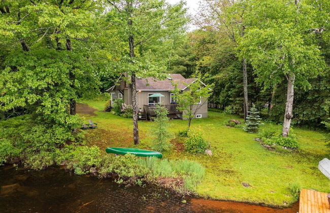 Bear Essentials Lakefront Hideaway - Foto 52