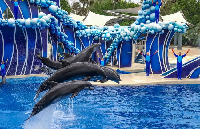 Upstay - Spacious Suite for 4 w Pool Near Disney - Foto 14