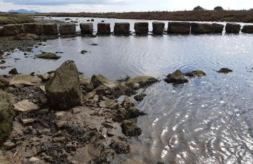 Idan House - Foto 23